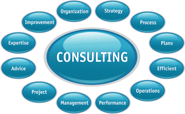 Consulting Services APMCert